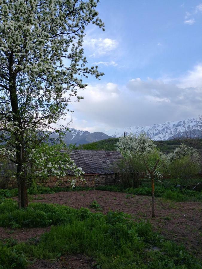 Tatev Guest House エクステリア 写真