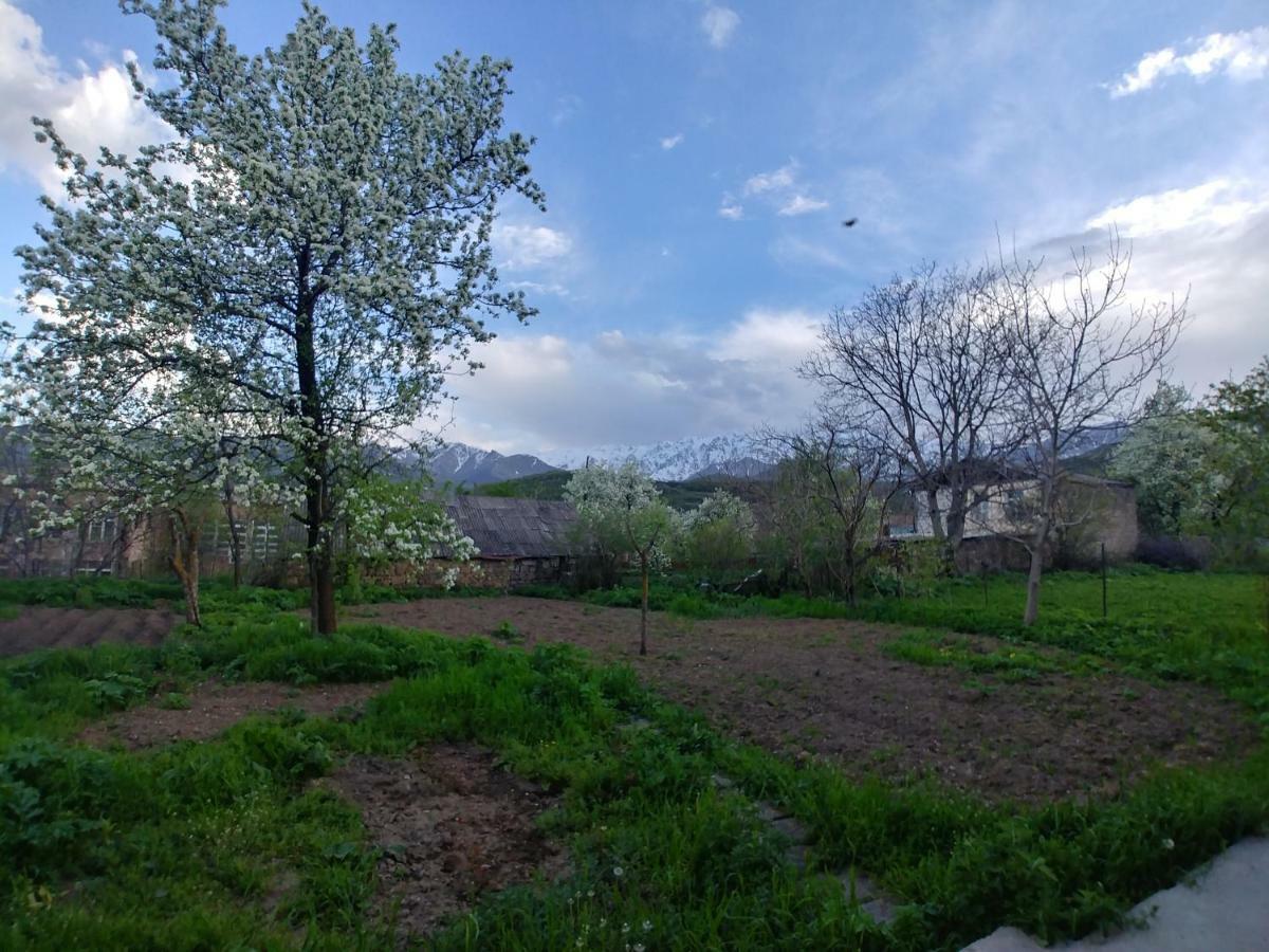 Tatev Guest House エクステリア 写真